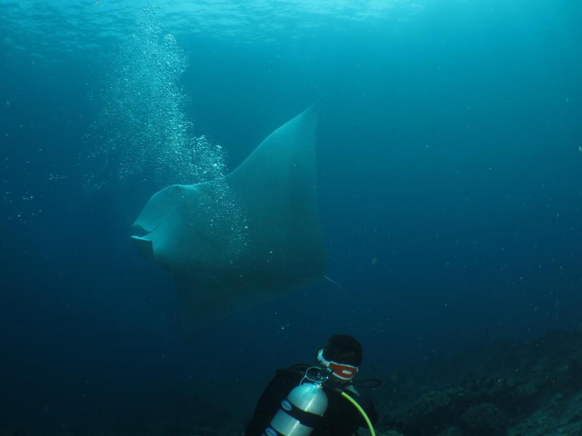 Hamueco Dive Resort Raja Ampat Rabia Eksteriør bilde