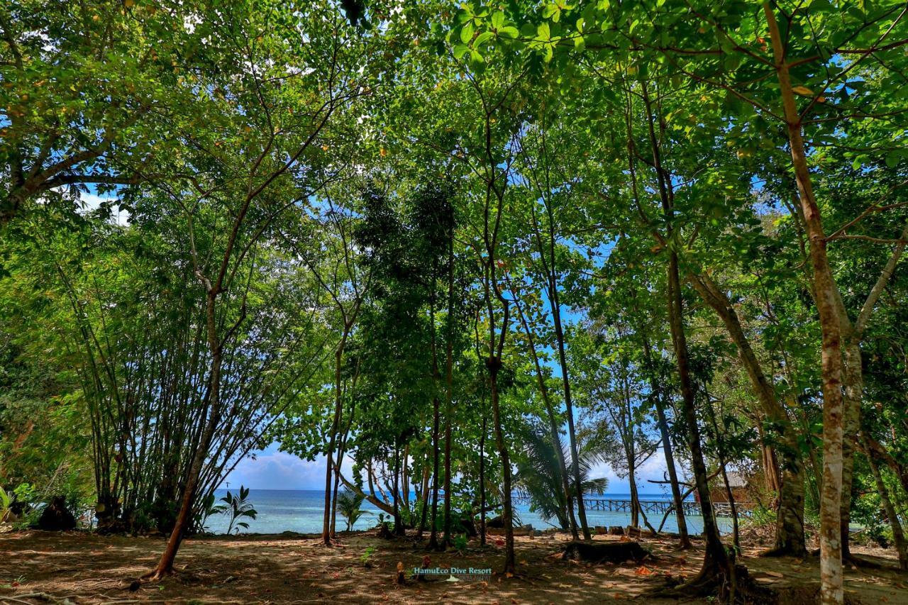 Hamueco Dive Resort Raja Ampat Rabia Eksteriør bilde