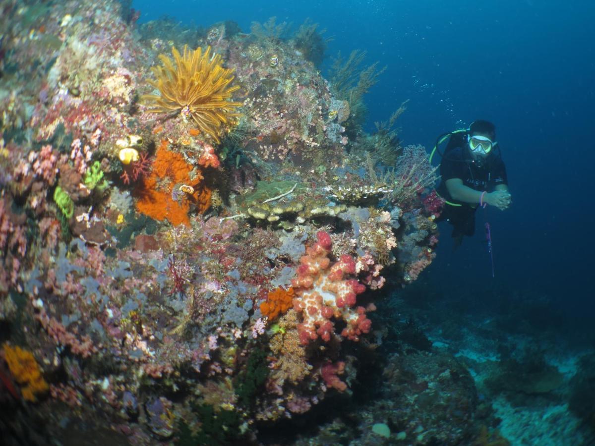 Hamueco Dive Resort Raja Ampat Rabia Eksteriør bilde